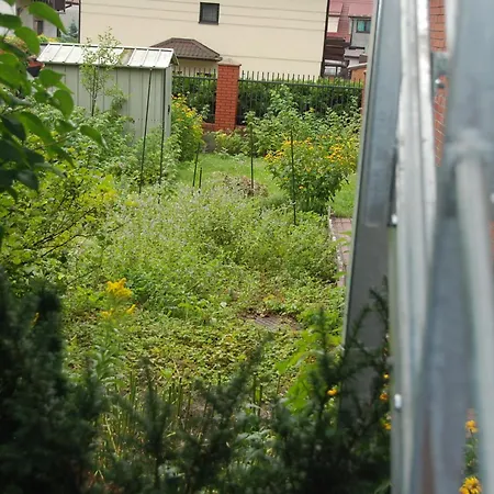 Beautiful With Terrace In Near Forest * Warsaw
