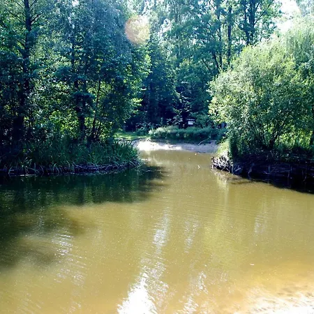 Appartement Beautiful With Terrace In Near Forest