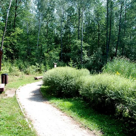 Beautiful With Terrace In Near Forest Apartmán