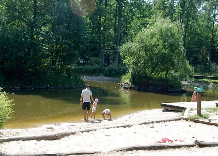 Apartman Beautiful With Terrace In Near Forest