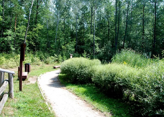 Beautiful With Terrace In Near Forest Apartman